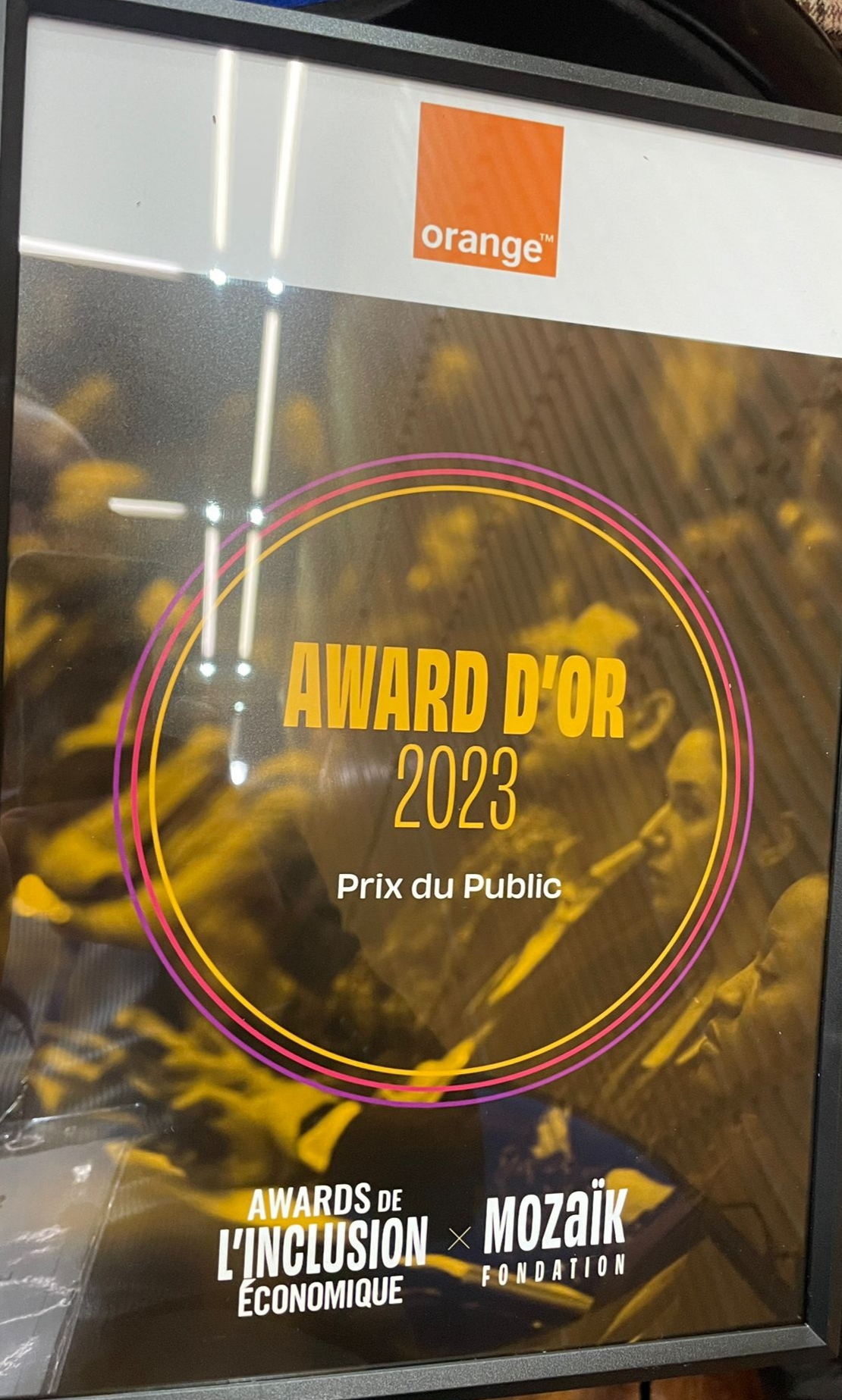 Orange doublement distingu pour son engagement en faveur de linclusion numrique !