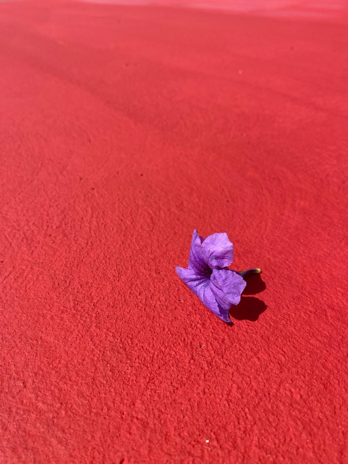 Lentreprise Australe Concrete redonne des couleurs aux 100 000 m de la corniche de Dakar